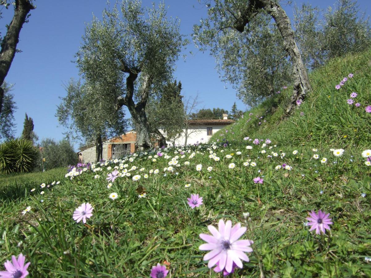 Bed and Breakfast Podere Sanlorenzo Carmignano Exterior foto